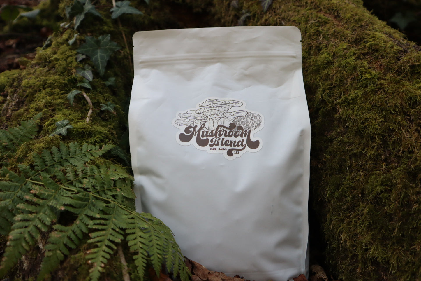Mushroom blend