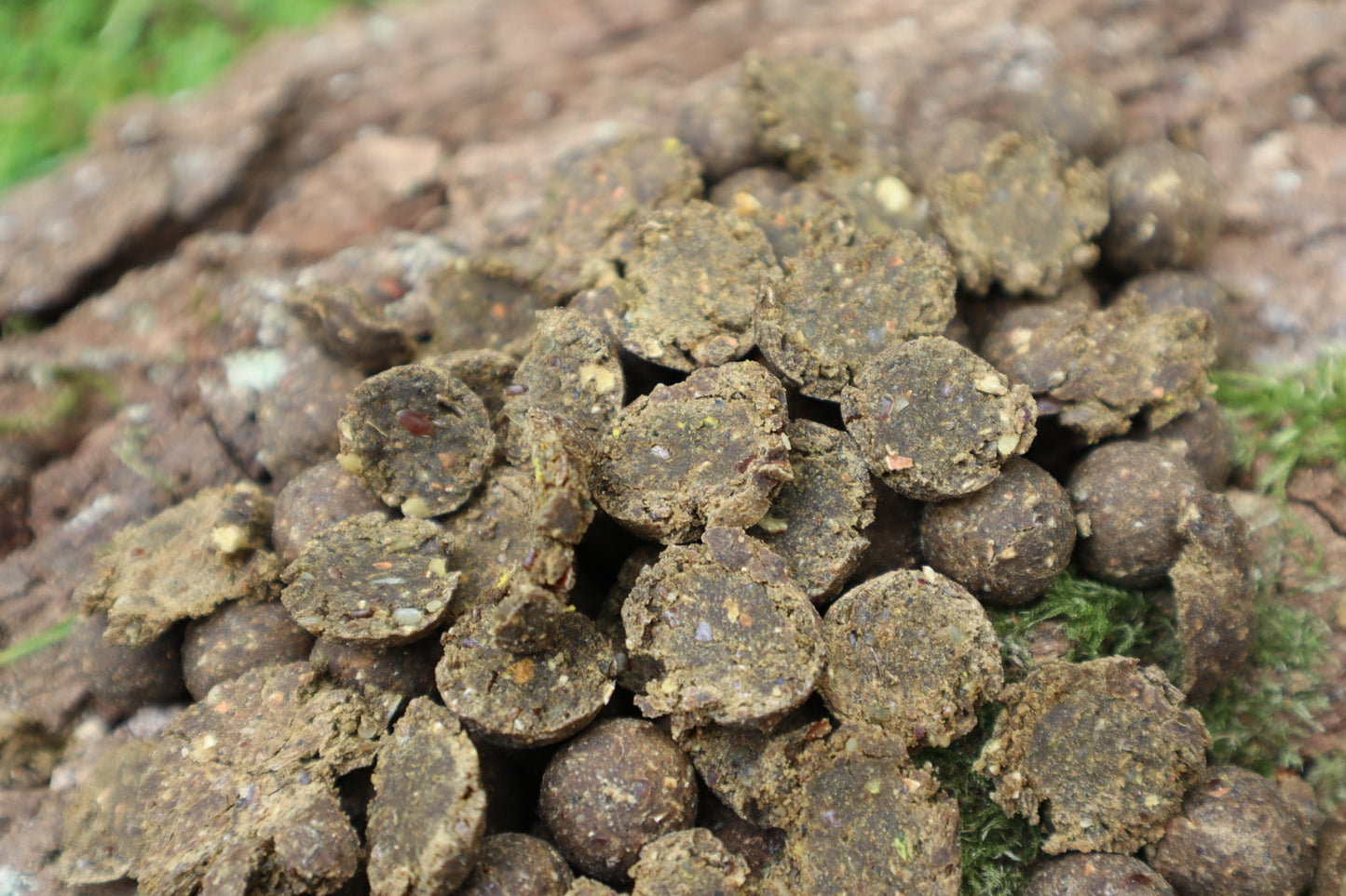 Mushroom blend